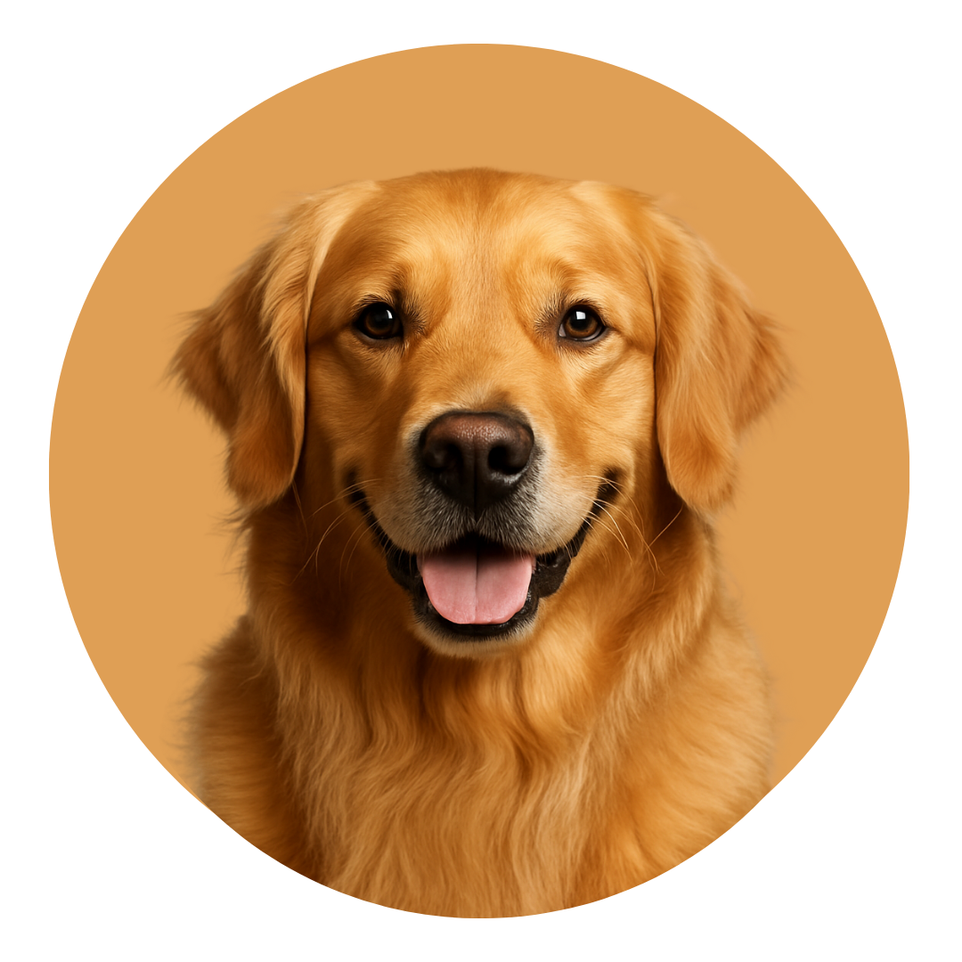 For Dogs